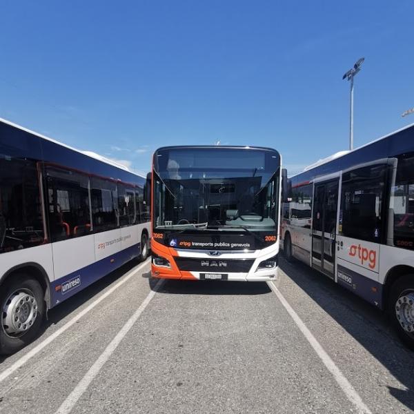 Genève Suisse Bus Mobilité HelvéCie Genève Suisse Bus Mobilité HelvéCie